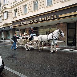 Erzherzog Rainer Hotel /  